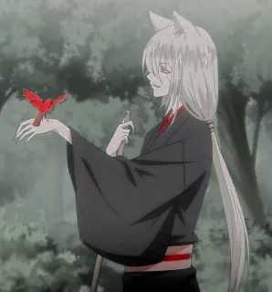 ☺️ Tomoe Kamisama Kiss Anime, Kitsune, Renard, Démon, Oiseau, Oiseau rouge, Kamisama Kiss, Tomoe telegram sticker