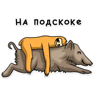 🏃‍♂️ НА подскоке Faultier, Wildschwein, Tier, Cartoon, Lustig whatsapp sticker