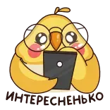 🧐 птица, корелла, милый, компьютер, цифровой, эмодзи telegram sticker