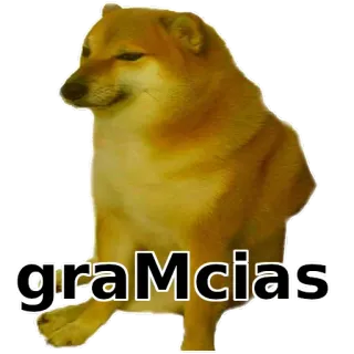 👍 cheems graMcias doge, cane, Cheems, grazie, meme telegram sticker