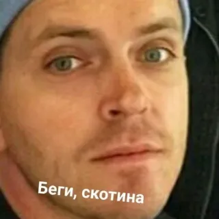 🔪 Беги, скотина russo, offensivo, insulto telegram sticker