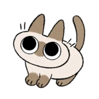 😺 gato, gatinho, fofo, animal, siames telegram sticker