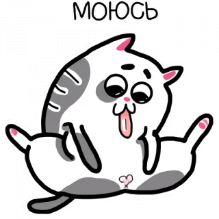 🛀 МОЮСЬ แมว, การ์ตูน, ตลก, สัตว์, น่ารัก, สติกเกอร์ telegram sticker