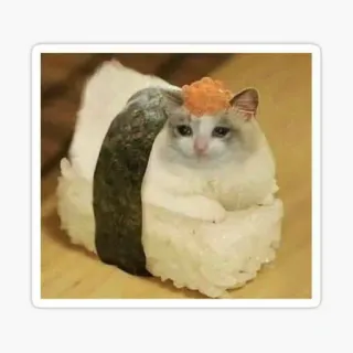 🌙 Katze, Sushi, Meme, Lustig, Essen, Tier, Süß, Kawaii telegram sticker