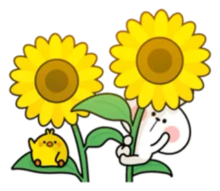 🌻 sunflowers, rabbit, chick, cartoon, cute, animals, nature, yellow telegram sticker