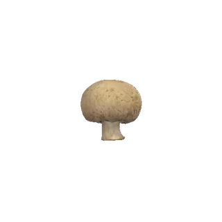 🍄 mushroom, food, fungi, ingredient, cooking, vegetarian whatsapp sticker