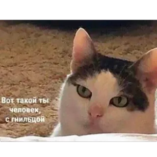 🫥 Вот такой ты человек, с гнильцой telegram sticker