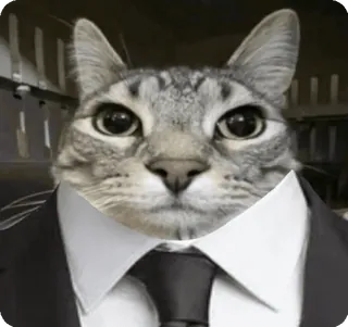 🌟 Business Cat cat, business, suit, professional, funny, meme telegram sticker