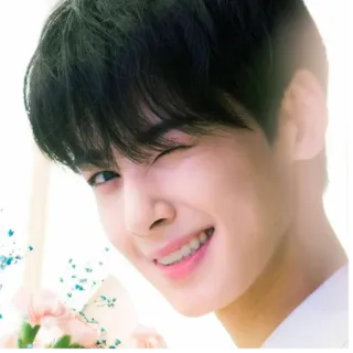 😉 kpop, idol, cha eun-woo, acteur, chanteur, beau whatsapp sticker