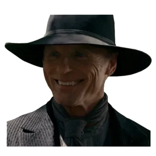 😬 Man in Black Westworld Westworld, Hombre de Negro, Ed Harris, Personaje, Vaquero, Sombrero whatsapp sticker