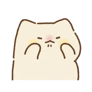 💬 cat, cute, animal, sticker whatsapp sticker