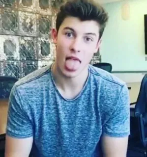 😛 shawn mendes, singer, musician, portrait, celebrity, male telegram sticker