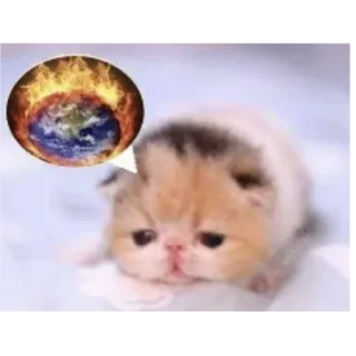 🐱 mèo, mèo con, hành tinh, trái đất, nóng lên toàn cầu, lửa, biến đổi khí hậu, dễ thương telegram sticker