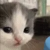 😕