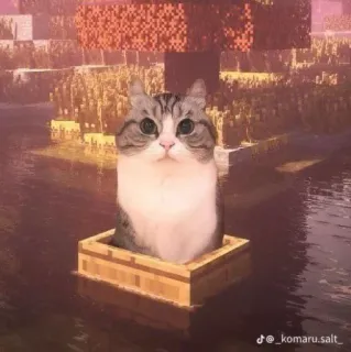 🤩 Minecraft Minecraft, kucing, hewan, permainan video, hewan peliharaan whatsapp sticker