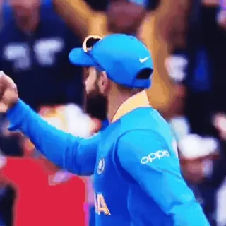 😏 Virat Kohli Cricket, Sport, Indien, Kohli, Sportler, Jubel telegram sticker