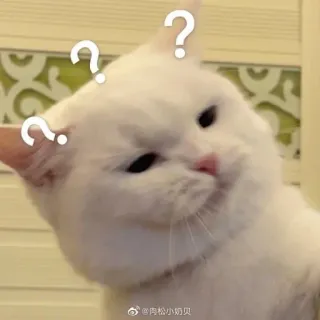 😢 肉松小娟贝 Katze, Fragezeichen, verwirrt, weiße Katze, Haustier, süß, Tier, Meme telegram sticker