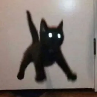 😾 猫, 黒猫, 動物, 子猫, ペット telegram sticker