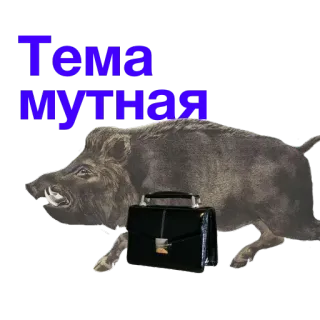 👀 Тема мутная jabalí, animal, maletín, texto, ruso, tema telegram sticker