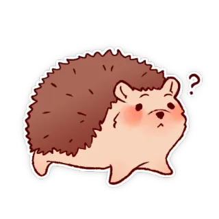 😲 ouriço, animal, adesivo, fofo, ponto de interrogação, desenho animado, confuso telegram sticker