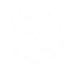 🐻