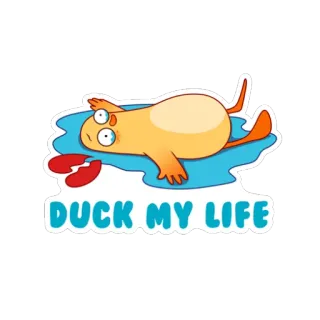 Duckster whatsapp stickers