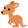 🦘