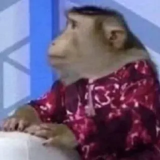 🐒 mono, animal, primate, sentado, vestido, meme telegram sticker