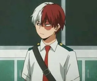 🇨🇦 Shoto Todoroki My Hero Academia Anime, My Hero Academia, Shoto Todoroki, Personnage, Héros, École, MHA telegram sticker