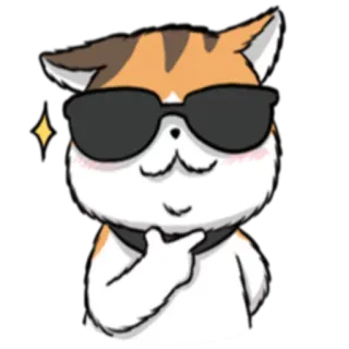 😎 кот, солнцезащитные очки, крутой, животное, милый, стикер telegram sticker
