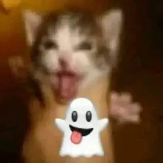 👻 แมว, ลูกแมว, ผี, อีโมจิ, สัตว์, น่ารัก telegram sticker