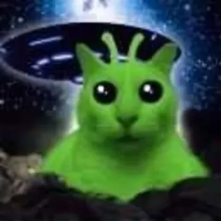 🛸 alien, cat, ufo, extraterrestrial, outer space, funny, sticker whatsapp sticker