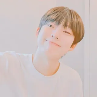 🥟 whatsapp sticker
