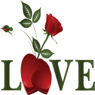 ❤️ LOVE 爱, 玫瑰, 情人节, 花, 浪漫 telegram sticker