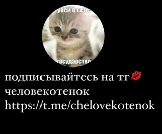 🌟 убей в себе государство подписывайтесь на тг человекотенок https://t.me/chelovekotenok telegram sticker