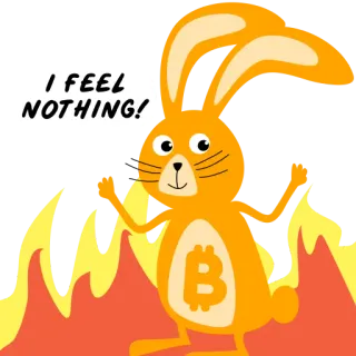 🤷‍♂️ I FEEL NOTHING! rabbit, bunny, fire, bitcoin, crypto, cartoon telegram sticker