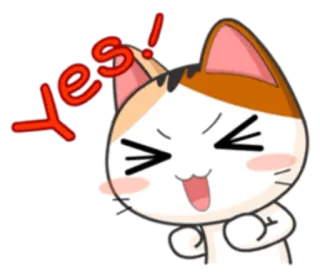 👍 yes! 고양이, 행복, 네, 신남, 이모지, 긍정적 telegram sticker