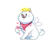💘 cat, angel, wings, hearts, cute, halo, sticker telegram sticker