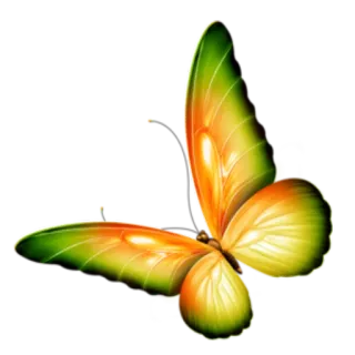 🦋 Borboleta, Colorido, Natureza, Inseto, Asas, Verde, Laranja, Amarelo telegram sticker