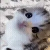 👀