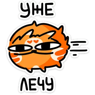😍 УЖЕ ЛЕЧУ fliegend, russisch, Cartoon, Sticker, Tier, Katze, Humor telegram sticker