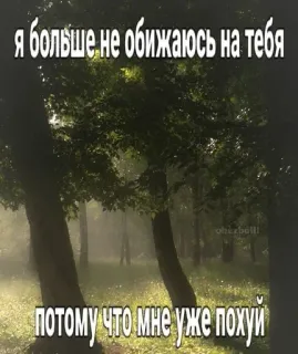 🌟 я больше не обижаюсь на тебя 
потому что мне уже похуй 러시아어, 자연, 나무, 숲, 텍스트 whatsapp sticker