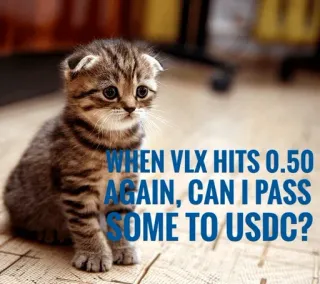 😙 WHEN VLX HITS 0.50 AGAIN, CAN I PASS SOME TO USDC? котенок, кот, VLX, криптовалюта, USDC, мем, финансы whatsapp sticker