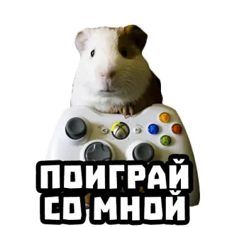 🎮 ПОИГРАЙ СО МНОЙ Marmut, Gamer, Controller Xbox, bermain, Gaming telegram sticker