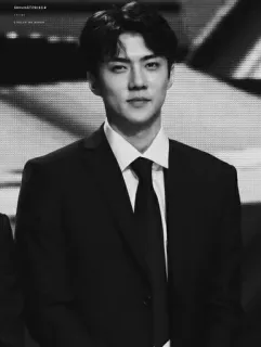 ➖ Sehun Sehun, EXO, Kpop, cantor, celebridade, coreano, ator telegram sticker