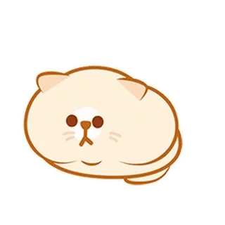 ᯽ Meow-darchodᵇⁱˡˡⁱ - 2 ᯽│@laddukadabba2 ᯽ telegram stickers