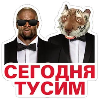 😎 СЕГОДНЯ ТУСИМ テリー・クルーズ, トラ, タキシード, サングラス, パーティー, お祝い telegram sticker