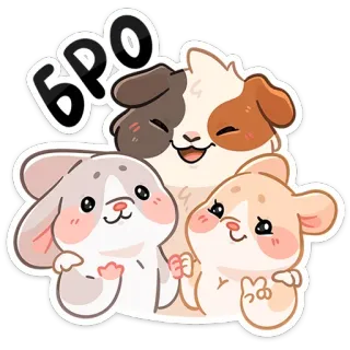 🤗 БРО 可愛い, 動物, モルモット, ハムスター, げっ歯類, 友情 telegram sticker