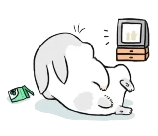 😑 кролик, мультик, спящий, милый, животное telegram sticker