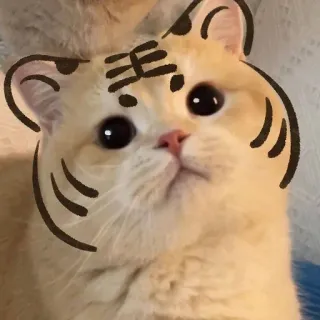 🐯 고양이, 호랑이, 귀여운, 동물, 그림 telegram sticker